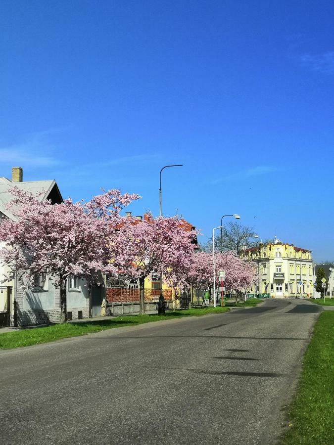 Hotel Modra Hvezda Sadska Bagian luar foto